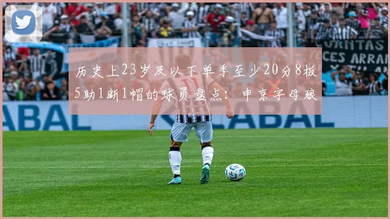 历史上23岁及以下单季至少20分8板5助1断1帽的球员盘点：申京字母狼王等人
